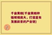 千亩黄精(千亩黄精种植规模庞大，打造富有发展前景的产业链)