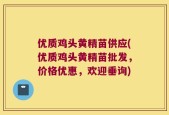 优质鸡头黄精苗供应(优质鸡头黄精苗批发，价格优惠，欢迎垂询)
