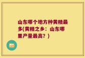 山东哪个地方种黄精最多(黄精之乡：山东哪里产量最高？)