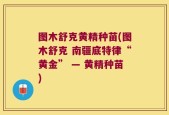 图木舒克黄精种苗(图木舒克 南疆底特律“黄金” — 黄精种苗)