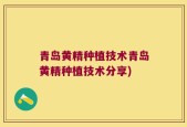 青岛黄精种植技术青岛黄精种植技术分享)