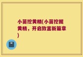 小苗挖黄精(小苗挖掘黄精，开启致富新篇章)