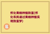 怀化黄精种植致富(怀化农民通过黄精种植实现致富梦)