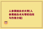 人参黄精白术大枣(人参黄精白术大枣的功效与作用介绍)
