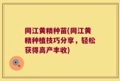 同江黄精种苗(同江黄精种植技巧分享，轻松获得高产丰收)
