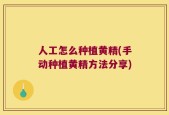 人工怎么种植黄精(手动种植黄精方法分享)