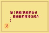 鉴別黄精(黄精的生长、用途和药理特性简介)