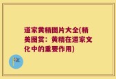 道家黄精图片大全(精美图赏：黄精在道家文化中的重要作用)