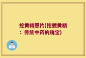 挖黄精照片(挖掘黄精：传统中药的瑰宝)