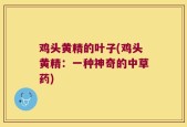 鸡头黄精的叶子(鸡头黄精：一种神奇的中草药)