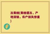 冻黄精(黄精遭冻，产地滞销，农户损失惨重)