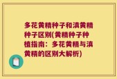 多花黄精种子和滇黄精种子区别(黄精种子种植指南：多花黄精与滇黄精的区别大解析)