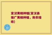 宣汉黄精种植(宣汉县推广黄精种植，助农增收)