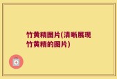 竹黄精图片(清晰展现竹黄精的图片)
