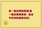 善一集团黄精葛根(善一集团黄精葛根：融合中药材的健康功效)