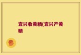 宜兴收黄精(宜兴产黄精