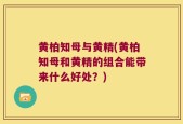 黄柏知母与黄精(黄柏知母和黄精的组合能带来什么好处？)