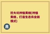 挖大坑种植黄精(种植黄精，打造生态农业新模式)