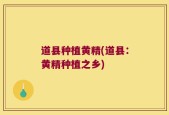 道县种植黄精(道县：黄精种植之乡)