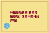 种植基地黄精(黄精种植基地：优质中药材的产地)