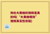 狗吃大黄精的视频是真的吗(“大黄精喂狗”视频真实性存疑)