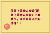 覆盆子黄精人参膏(覆盆子黄精人参膏：滋补益气，调节内分泌的好选择！)