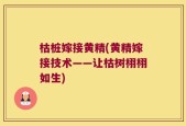 枯桩嫁接黄精(黄精嫁接技术——让枯树栩栩如生)