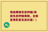 海南黄精生态种植(海南生态种植黄精，全新呈现彰显生态价值！)