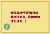 叶璇黄精秋葵膏(叶璇黄精秋葵膏，你需要知道的这些！)