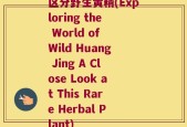 区分野生黄精(Exploring the World of Wild Huang Jing A Close Look at This Rare Herbal Plant)