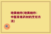 地黄精炸(地黄精炸：中医常用药材的烹饪方法)