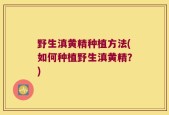 野生滇黄精种植方法(如何种植野生滇黄精？)