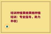 培训种植黄精黄精种植培训：专业指导，助力丰收)