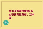高山茶园套种黄精(高山茶园种植黄精，双丰收)