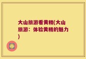大山旅游看黄精(大山旅游：体验黄精的魅力)