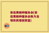 安岳黄精种植协会(安岳黄精种植协会助力当地农民增收致富)