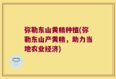 弥勒东山黄精种植(弥勒东山产黄精，助力当地农业经济)