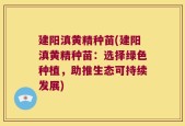 建阳滇黄精种苗(建阳滇黄精种苗：选择绿色种植，助推生态可持续发展)