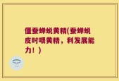 僵蚕蝉蜕黄精(蚕蝉蜕皮时喂黄精，利发展能力！)