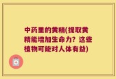 中药里的黄精(提取黄精能增加生命力？这些植物可能对人体有益)