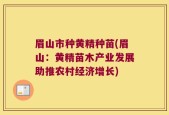 眉山市种黄精种苗(眉山：黄精苗木产业发展助推农村经济增长)
