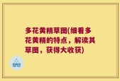多花黄精草图(细看多花黄精的特点，解读其草图，获得大收获)