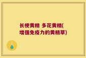 长梗黄精 多花黄精(增强免疫力的黄精草)