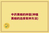 中药黄精的种苗(种植黄精的选择育种方法)