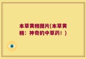 本草黄精图片(本草黄精：神奇的中草药！)