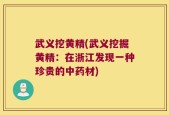 武义挖黄精(武义挖掘黄精：在浙江发现一种珍贵的中药材)