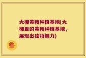 大棚黄精种植基地(大棚里的黄精种植基地，展现出独特魅力)