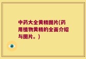 中药大全黄精图片(药用植物黄精的全面介绍与图片。)