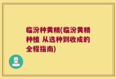 临汾种黄精(临汾黄精种植 从选种到收成的全程指南)