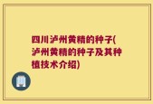 四川泸州黄精的种子(泸州黄精的种子及其种植技术介绍)